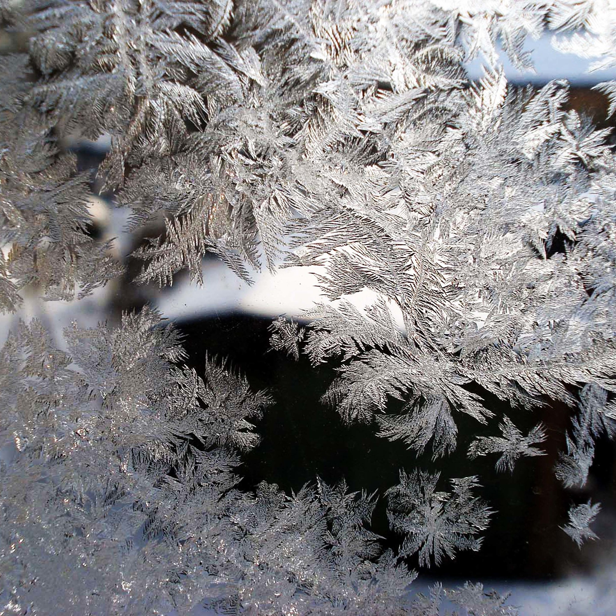 雪下的大的话语