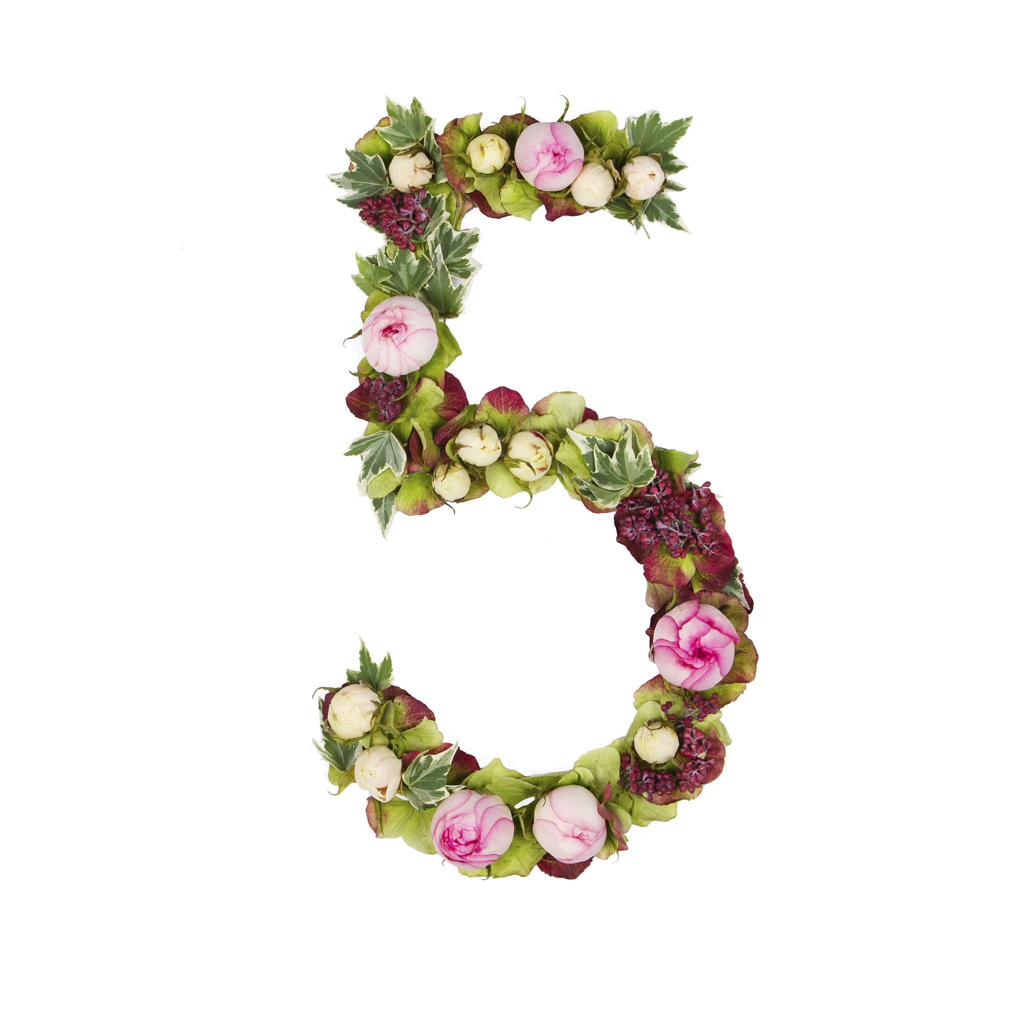 the number five
