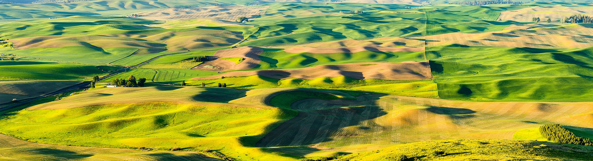 panoramic view of palouse rolling hills