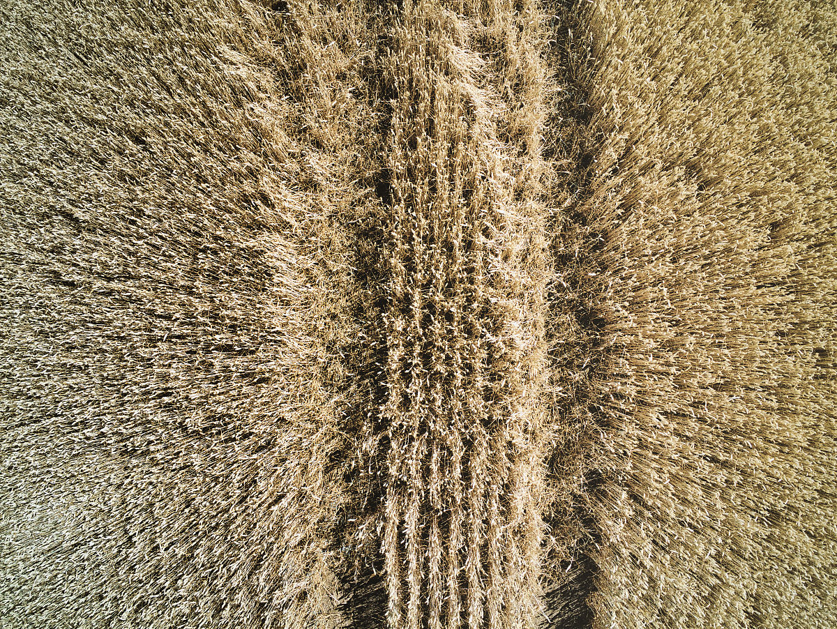 绵阳农业学校2022年专业有哪些招生要求