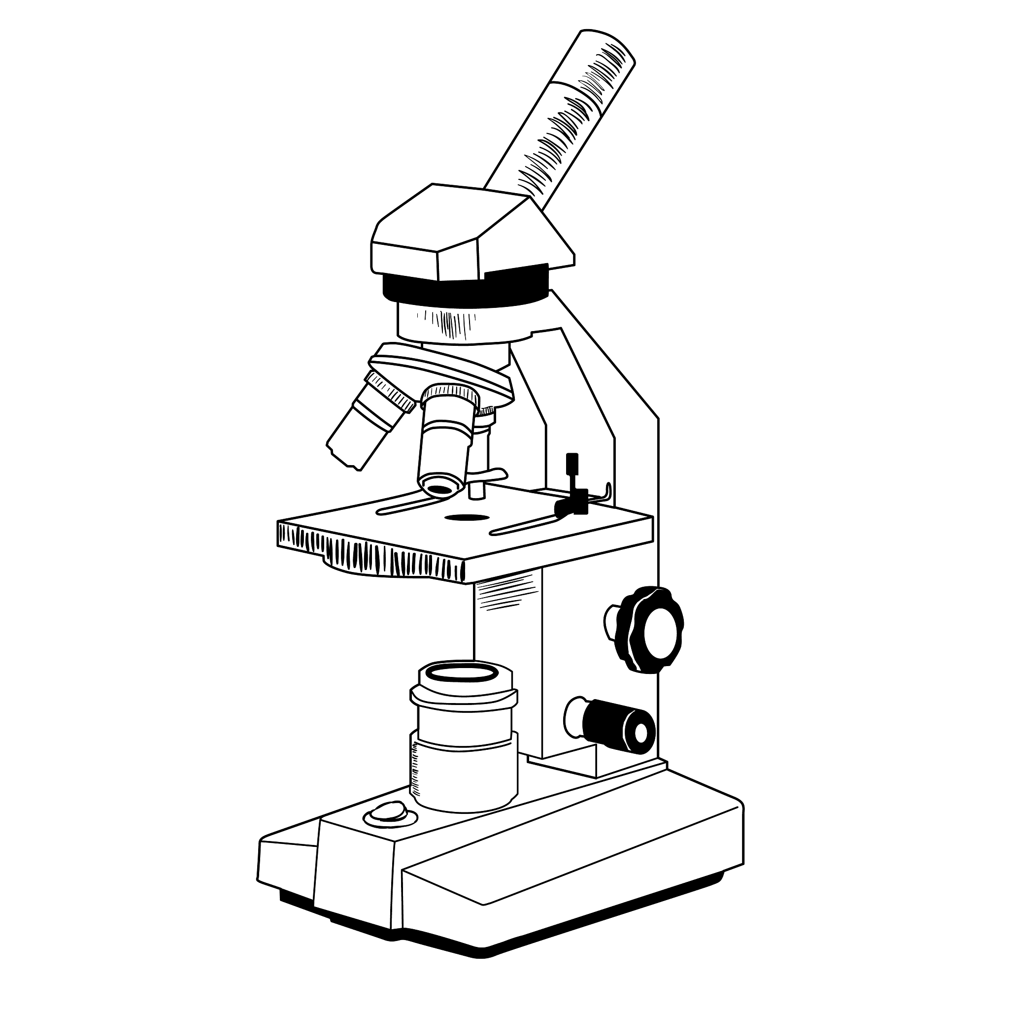 小学生显微镜打卡活动方案：线上学习，互动体验，激发科学兴趣