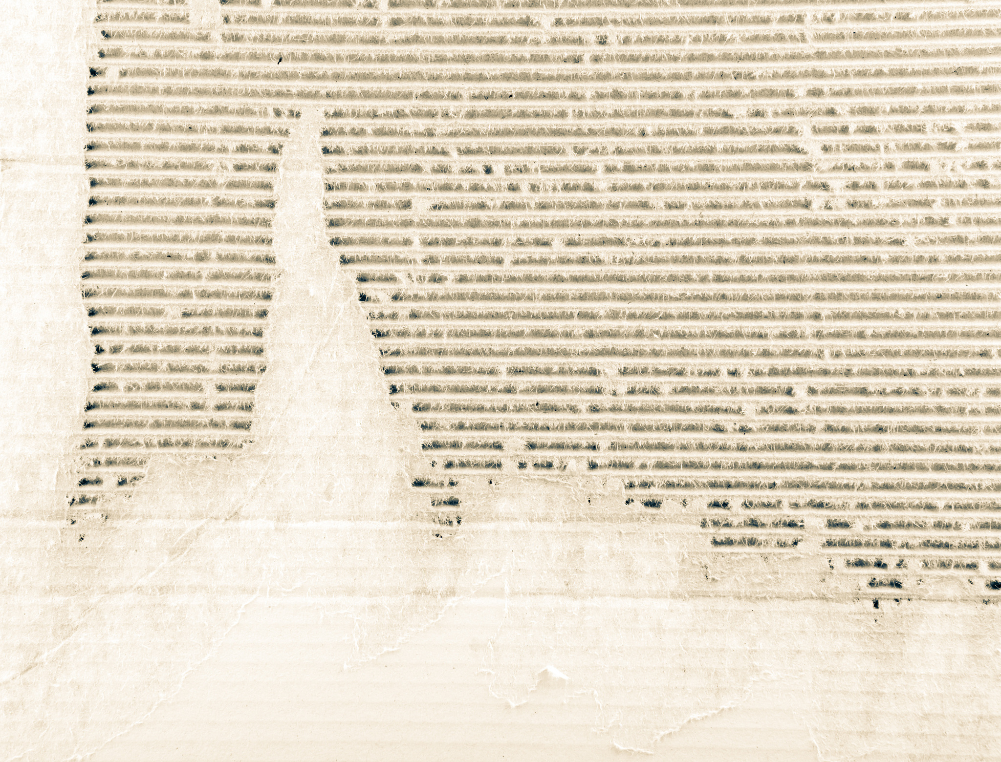 欧几里得几何公理：完整列表及解释