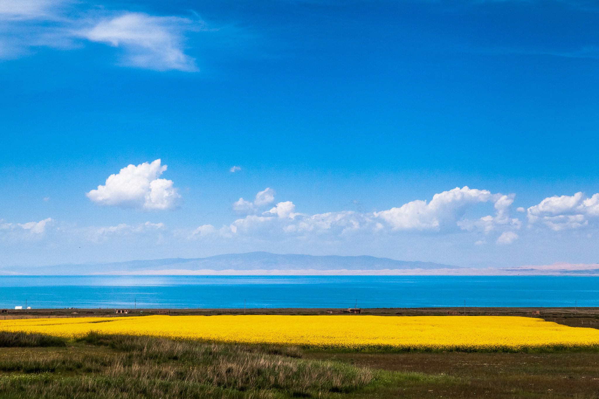 青海省位置介绍：省会城市、地理环境和主要产业