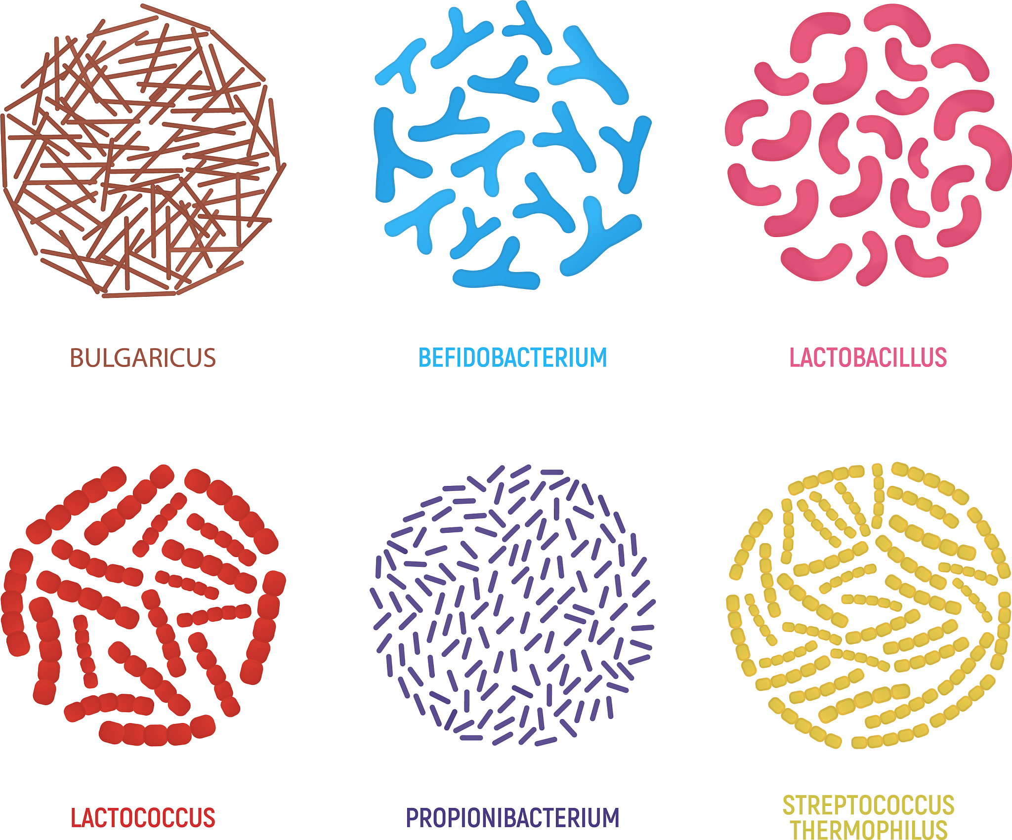 小分子活性肽限时优惠！提升免疫力，促进肠道健康！