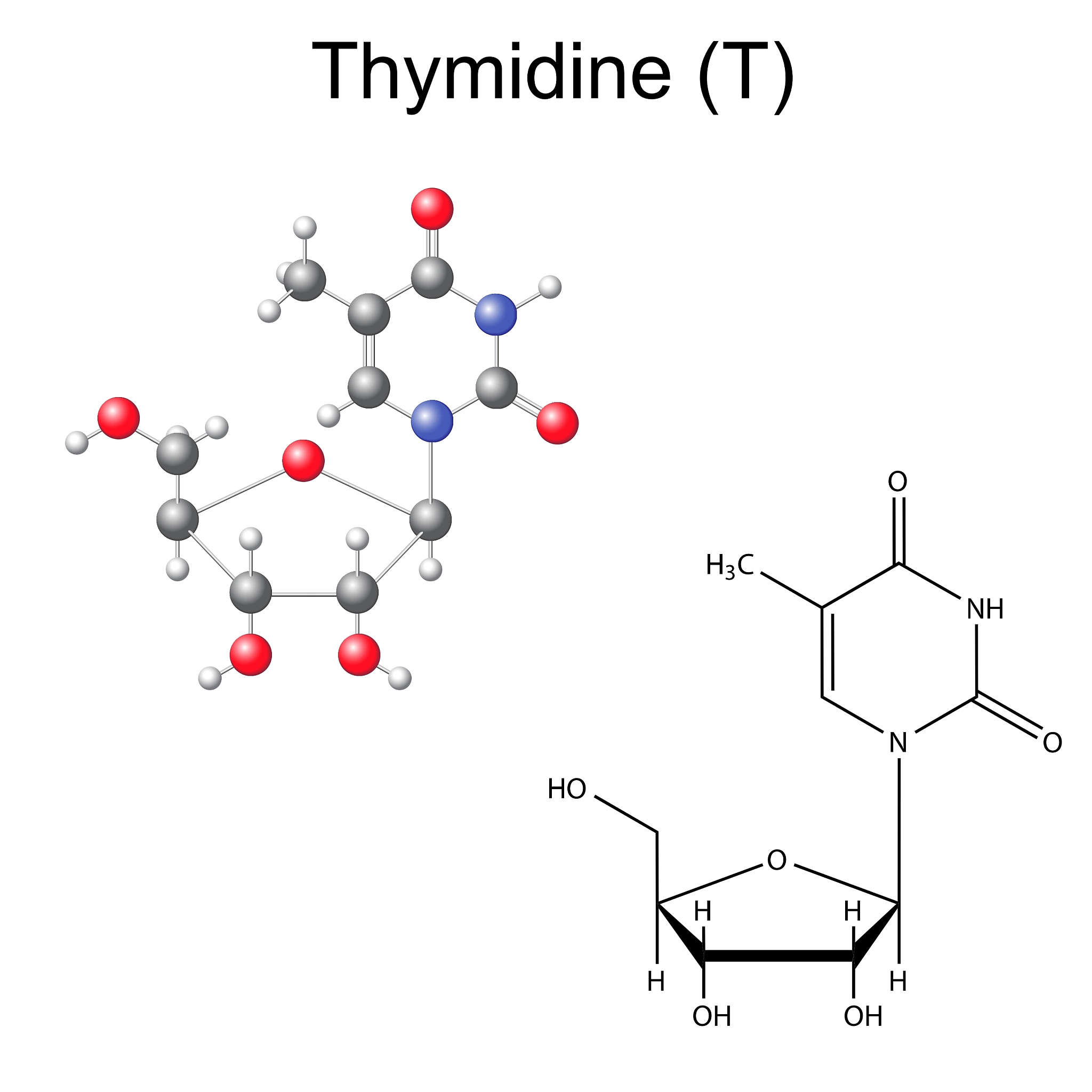 Cys-Glu-Trp-Tyr-Asn-Leu-Cys-Cys-Gln-Leu-Gly-Asn-Lys-Gly-Gln-Trp-Cys-Leu-Glu-Leu-Lys-Asn-Pro-Asp-Trp-Pro-Leu的分子量是多少