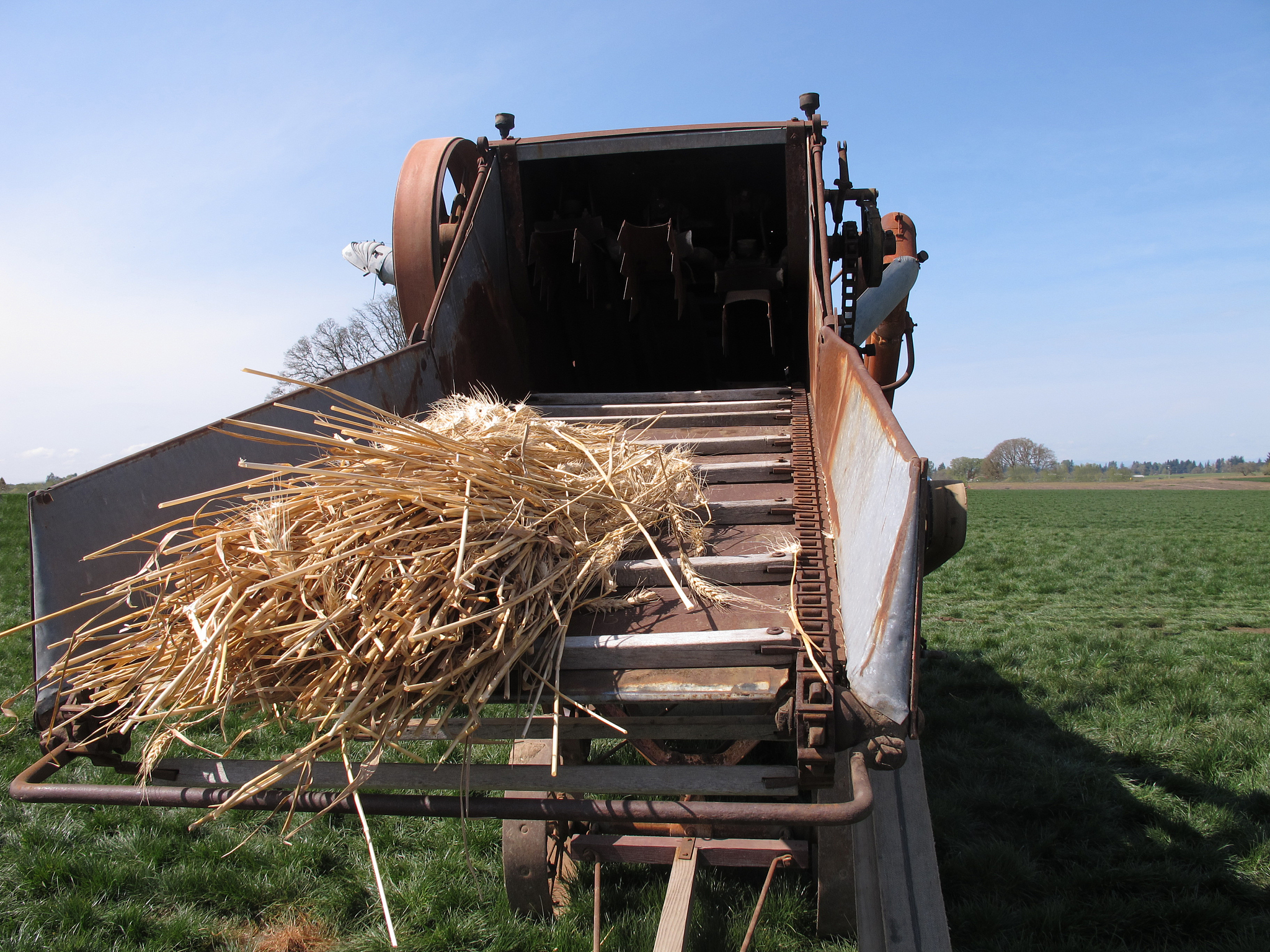 写一份5000字关于玉米脱粒机的论文
