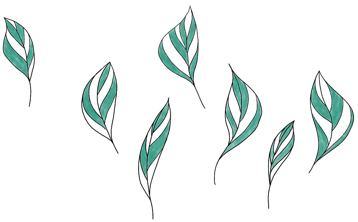 七宝石绿色和白色条纹室内植物叶子的插图