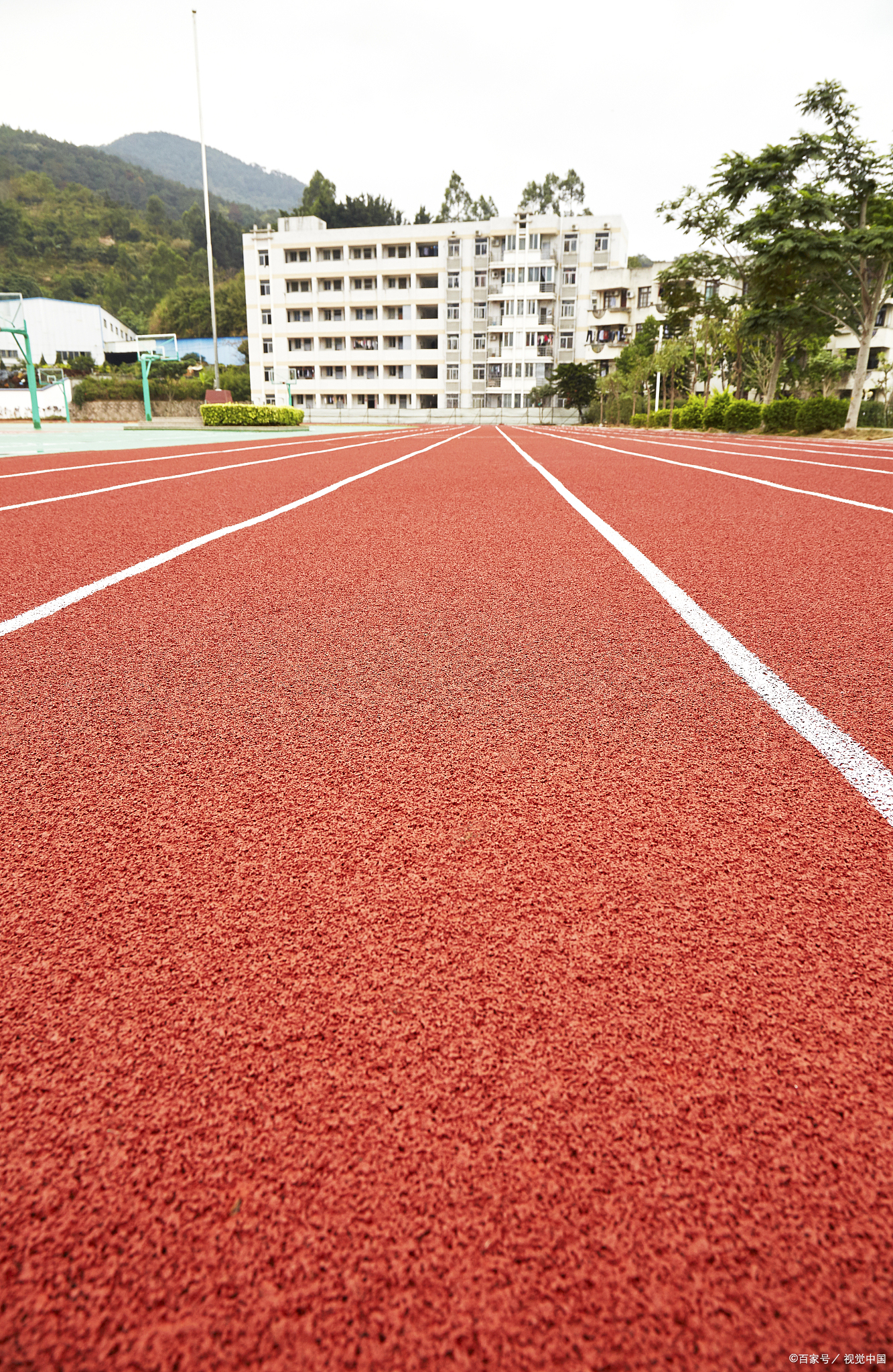 一文读懂：塑胶跑道的种类与选购要点