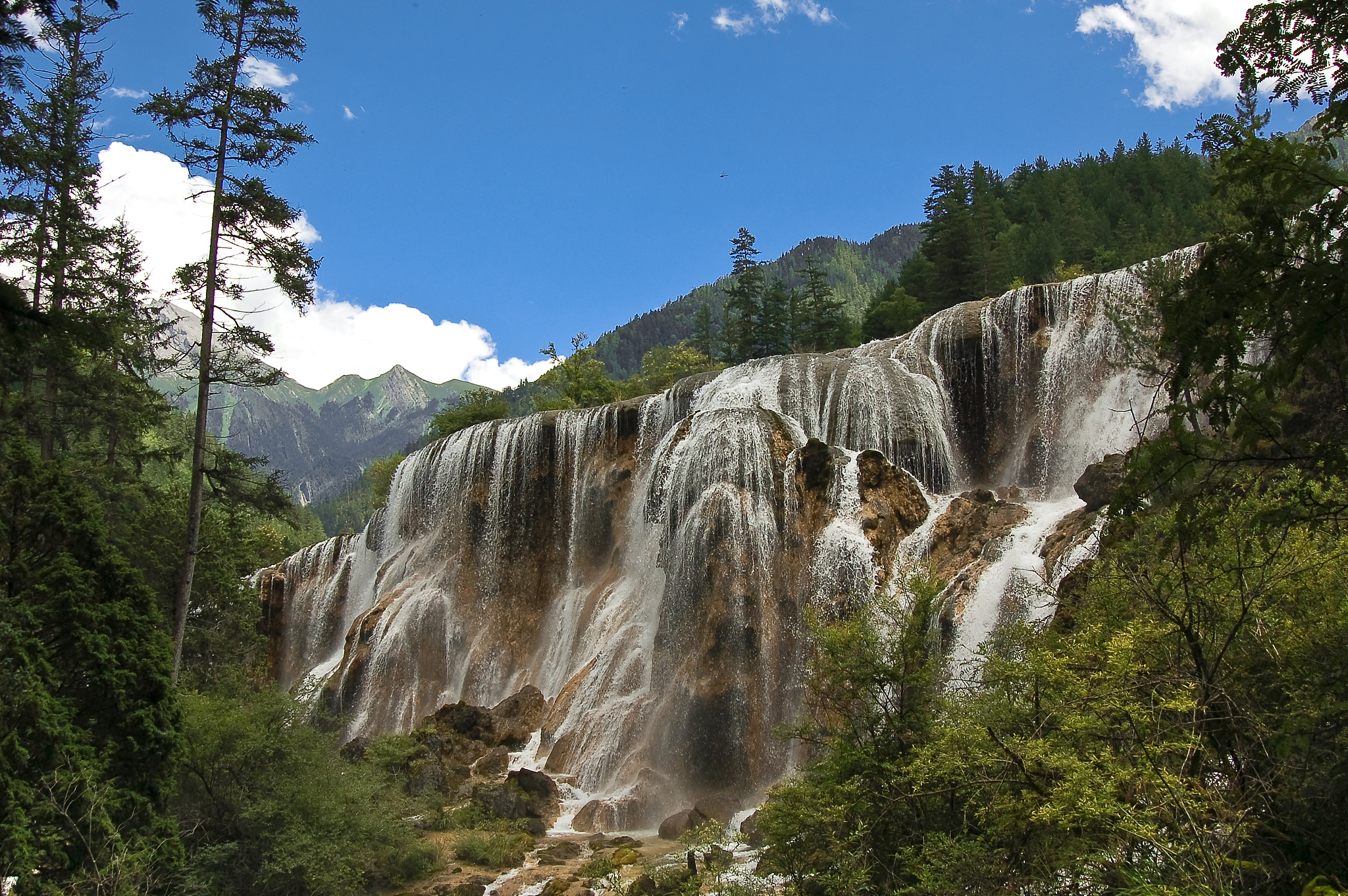 四川交通运输职业学校2019+旅游服务与管理专业招生