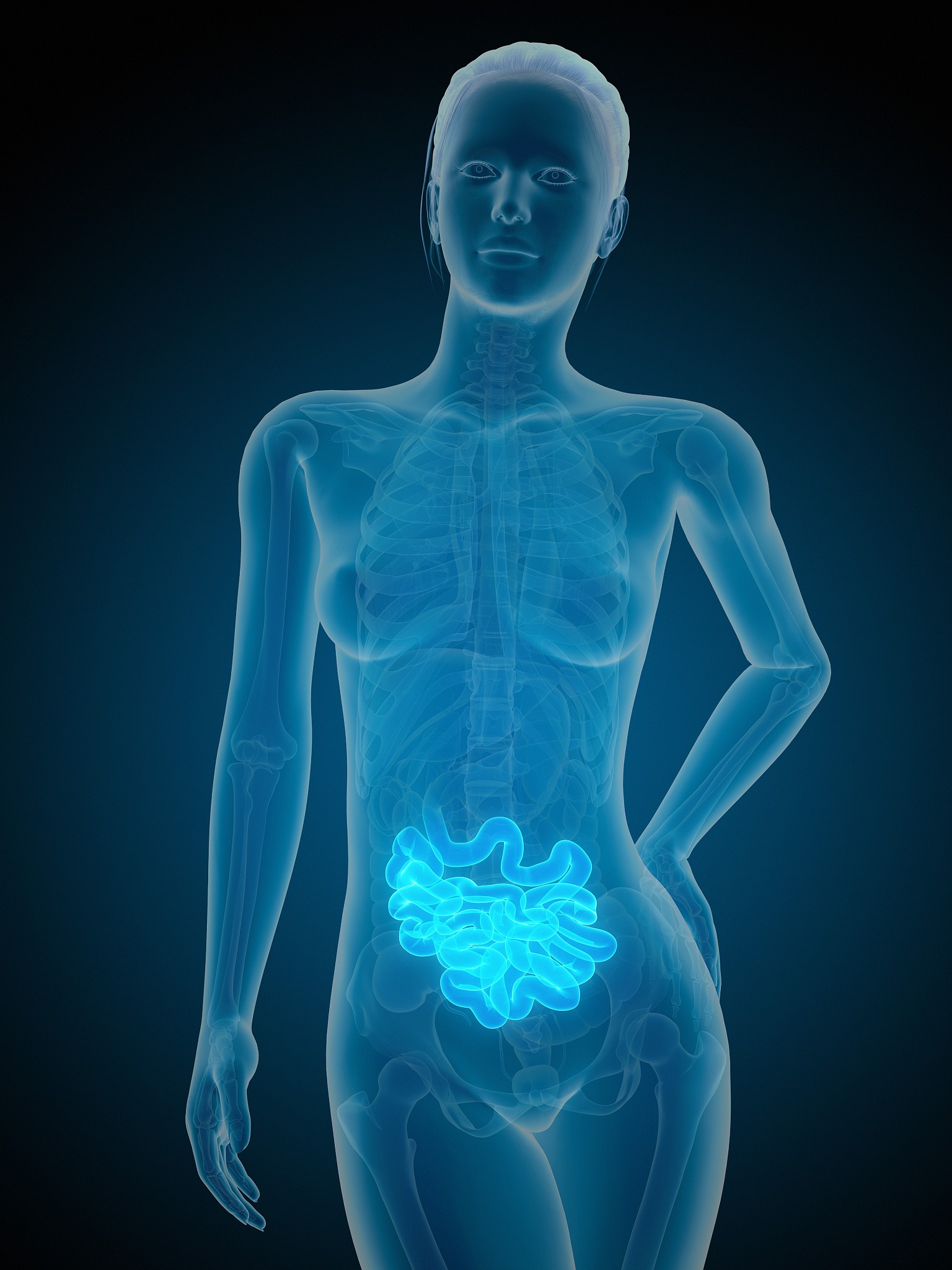 我的学科活动真有趣作文600字生物