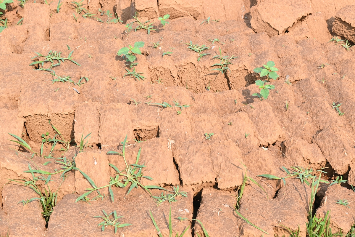 强降雨致粉质黏土积水的原因分析