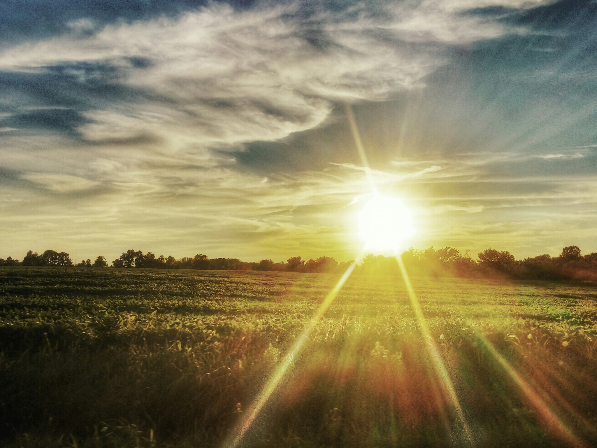 请写一篇赞美太阳的文章。