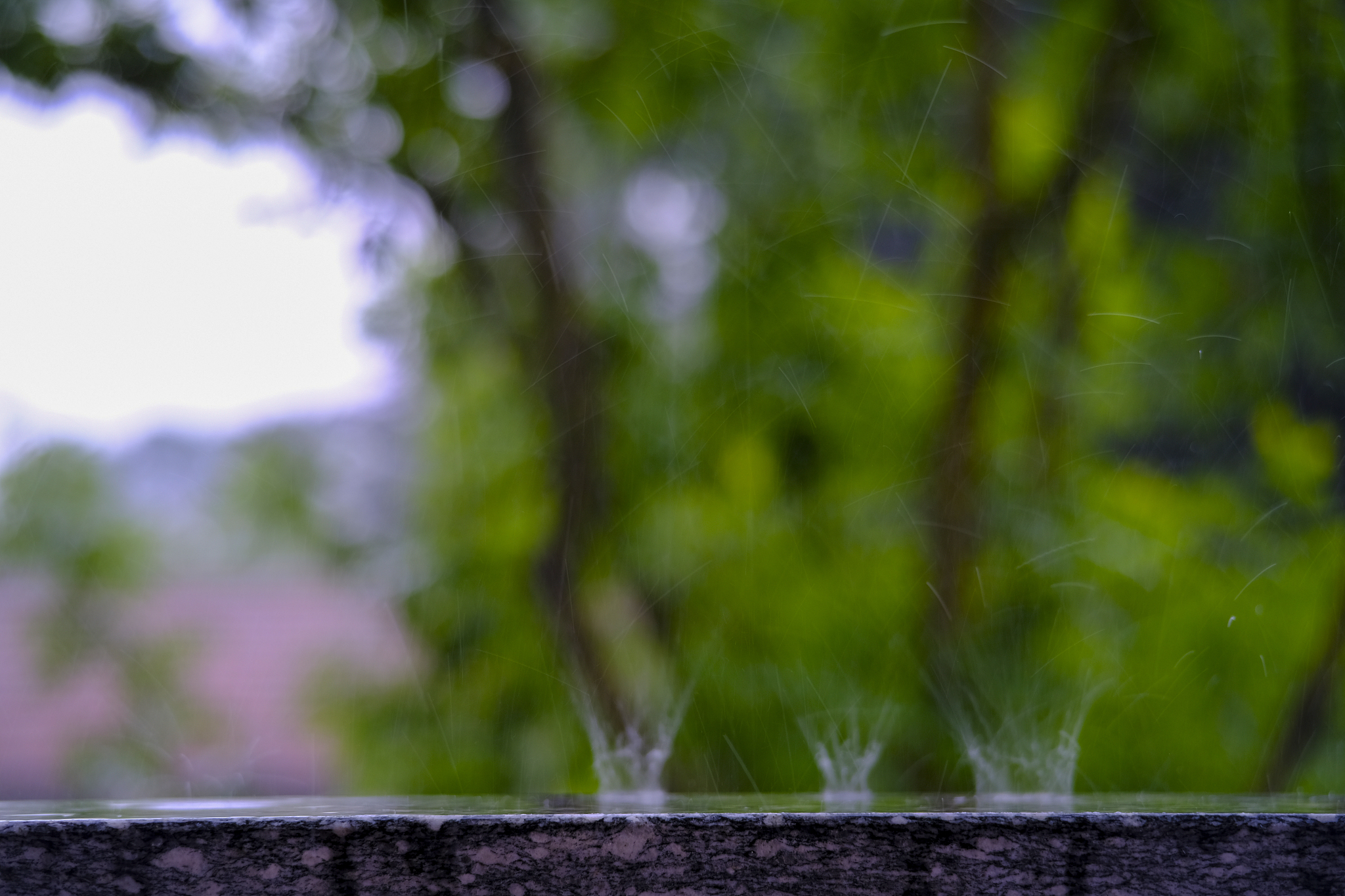 雨丝是什么意思_词语雨丝的意思