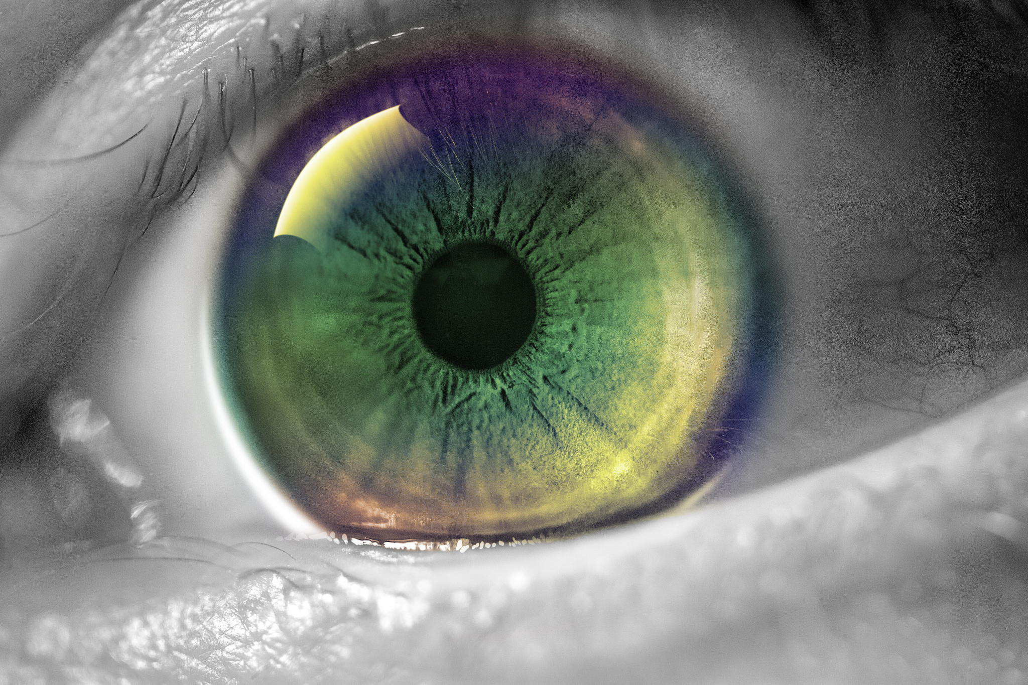 macro human eye - rainbow iris
