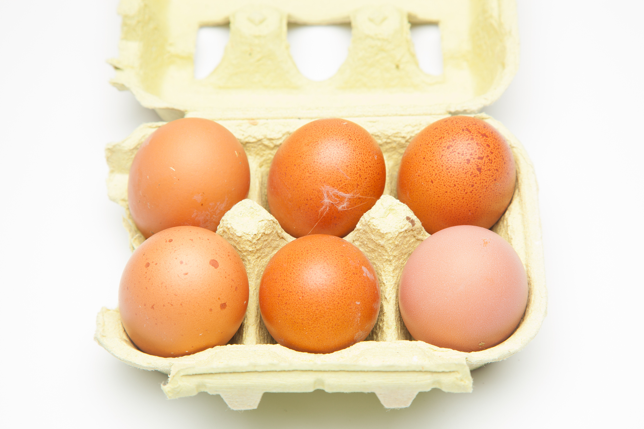 fresh chicken eggs