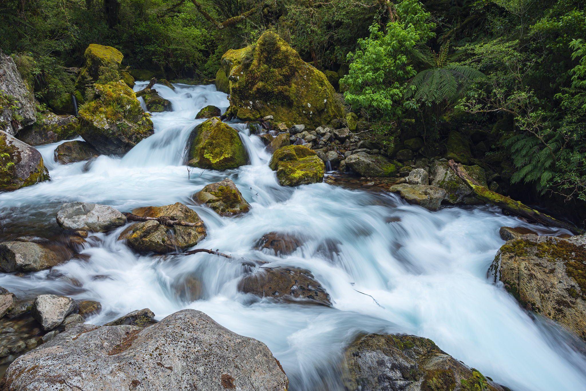临时让同学帮忙改论文格式时间比较紧怎么说50个字