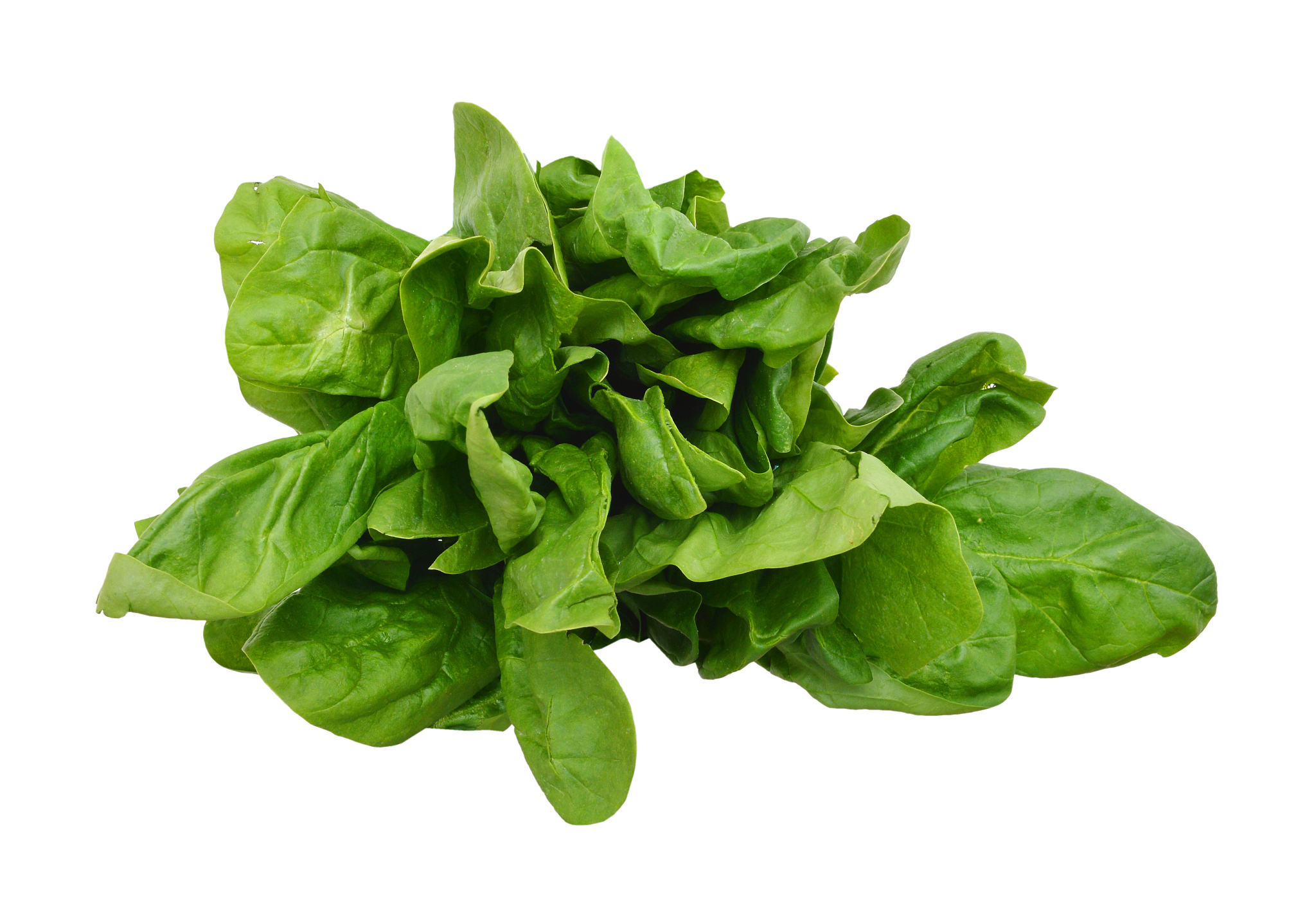 蔬菜供货合同协议免费版