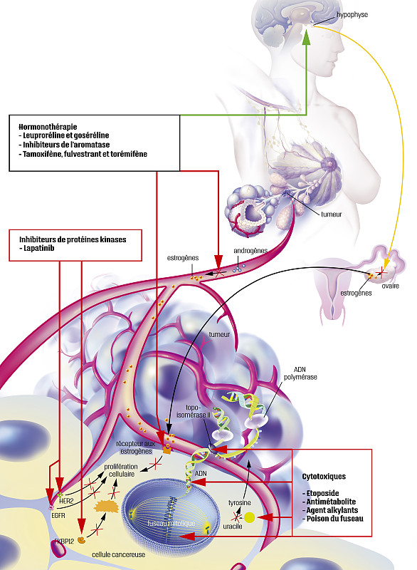 BubbleSystem originRadius 和 radius 属性区别详解