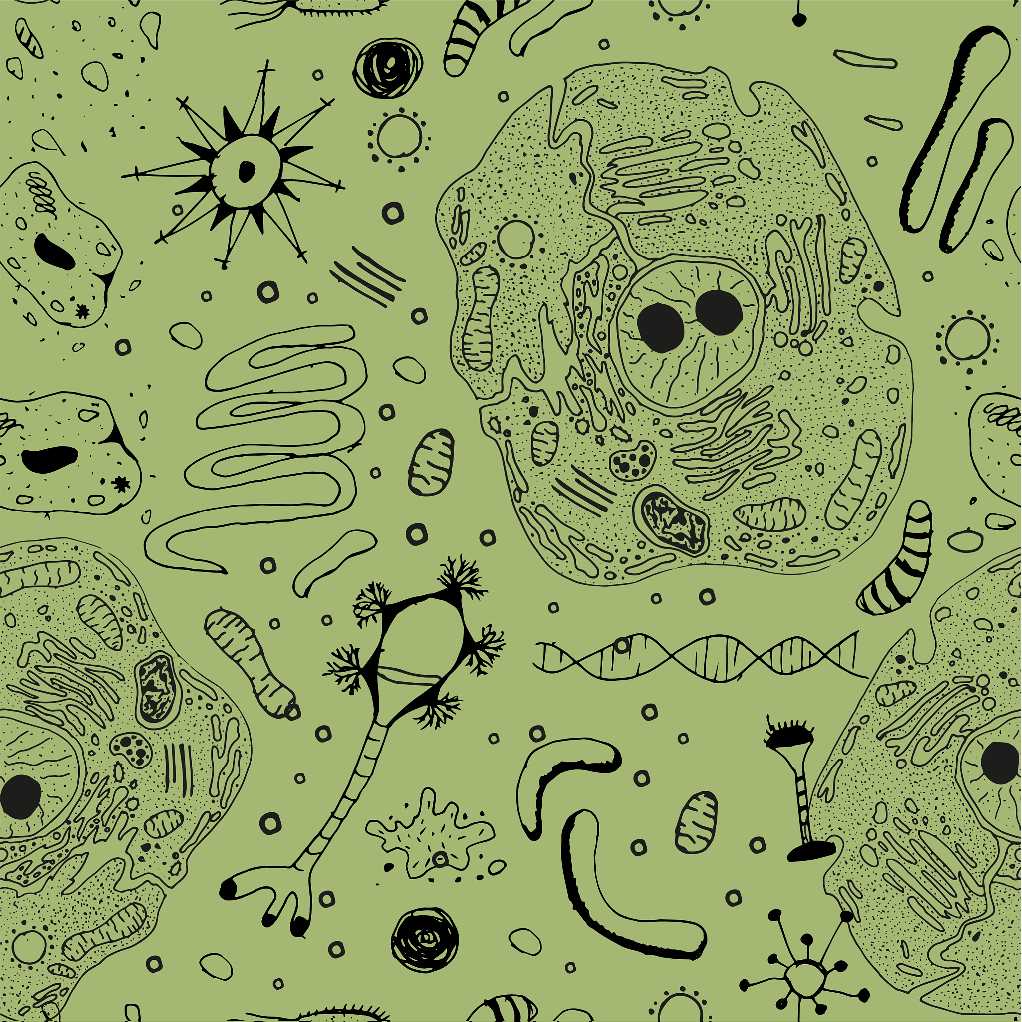 钾离子外流：细胞膜上的离子通道运输