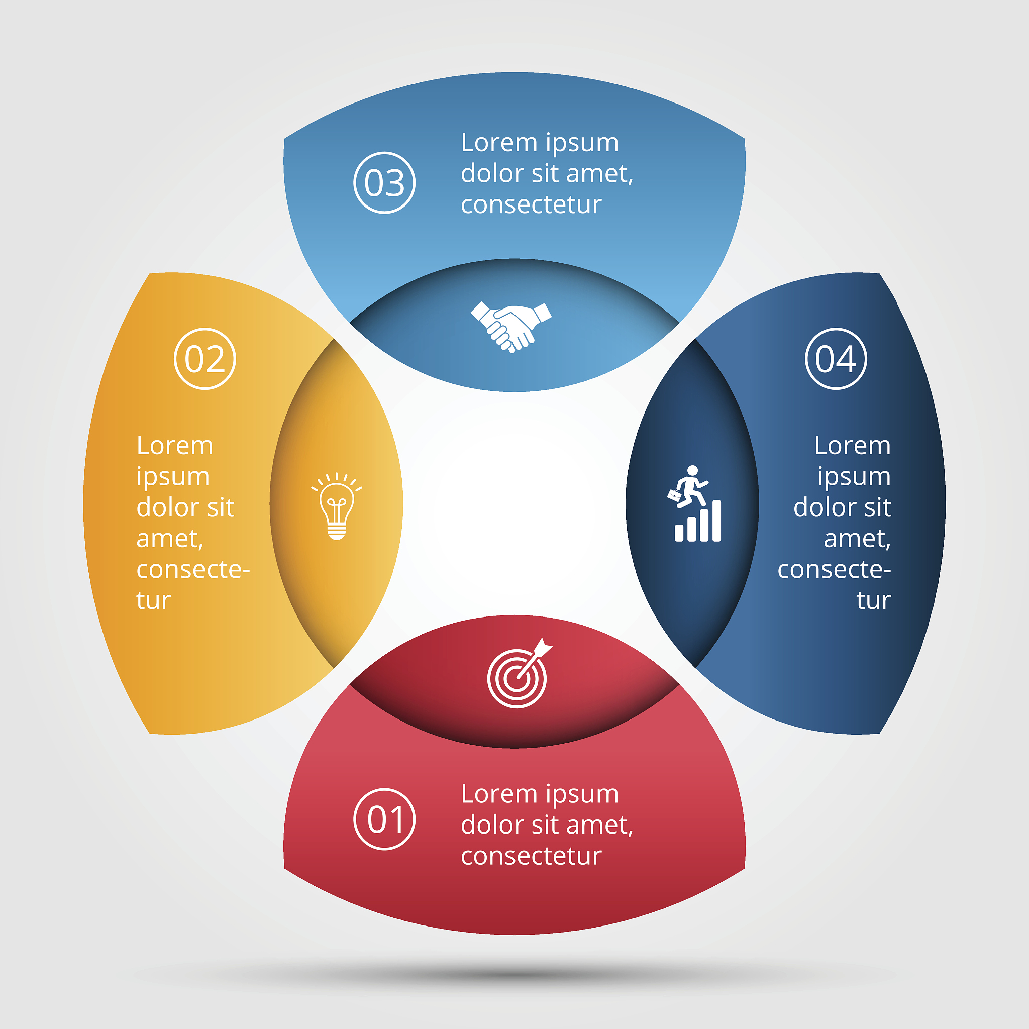 vector circle infographic.