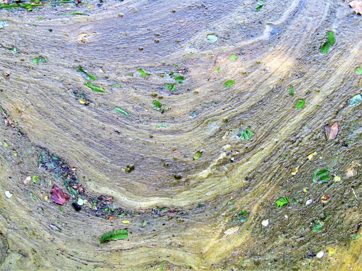 modis区分赤潮和泥沙那些波段