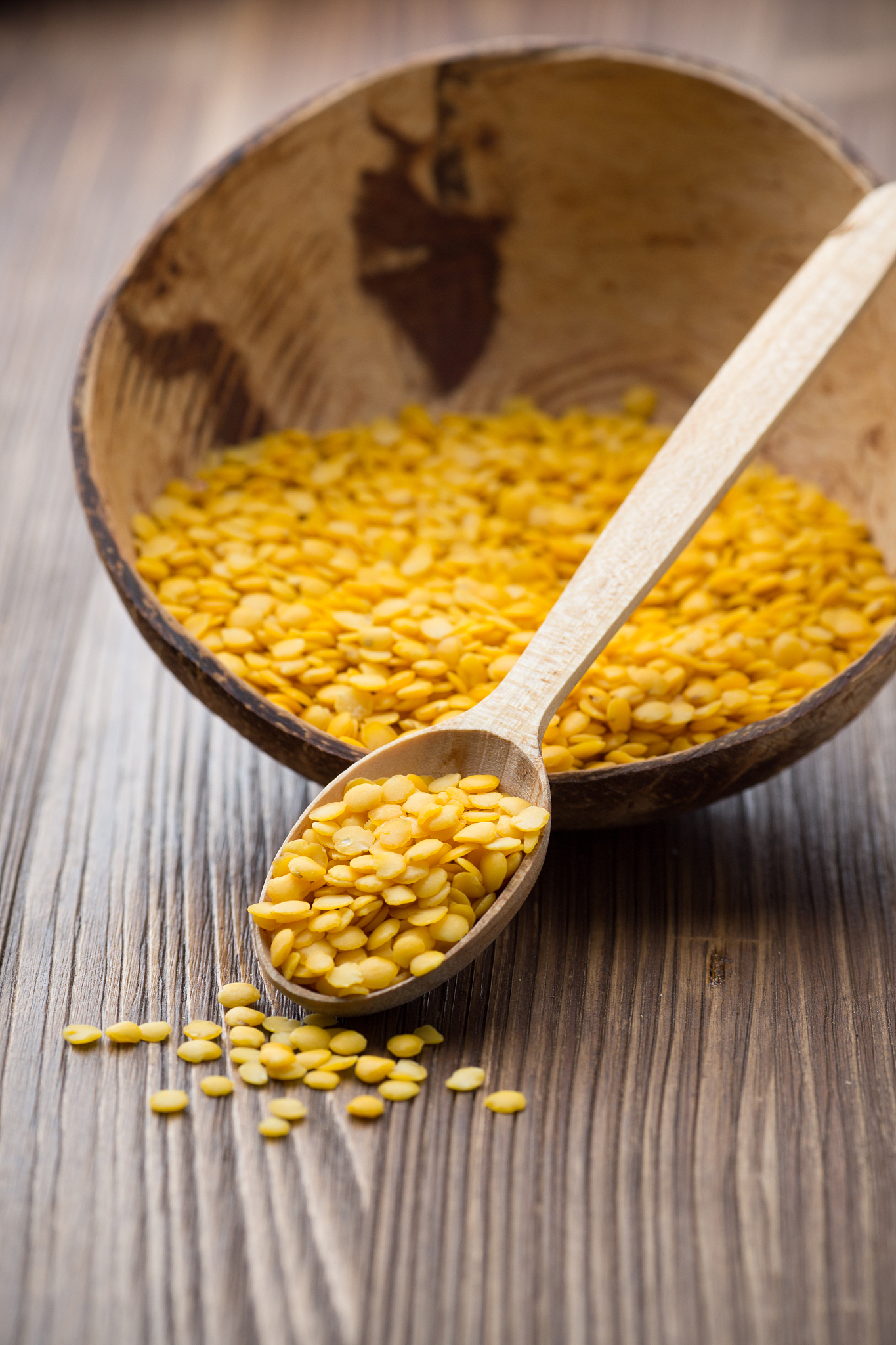 lentil.
