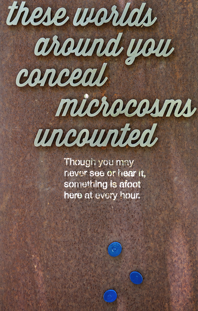 CLAYS AND CLAY MINERALS 期刊现任主编是谁？