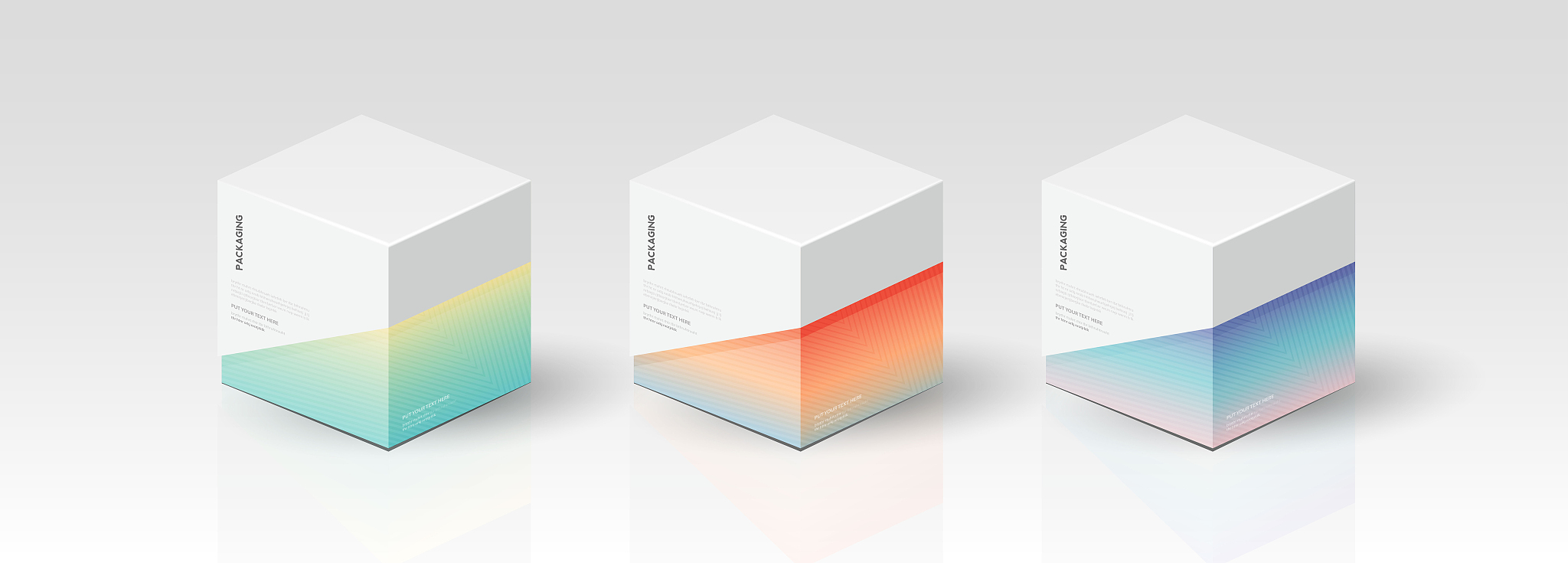 box, packaging template for product vector design, vector illust
