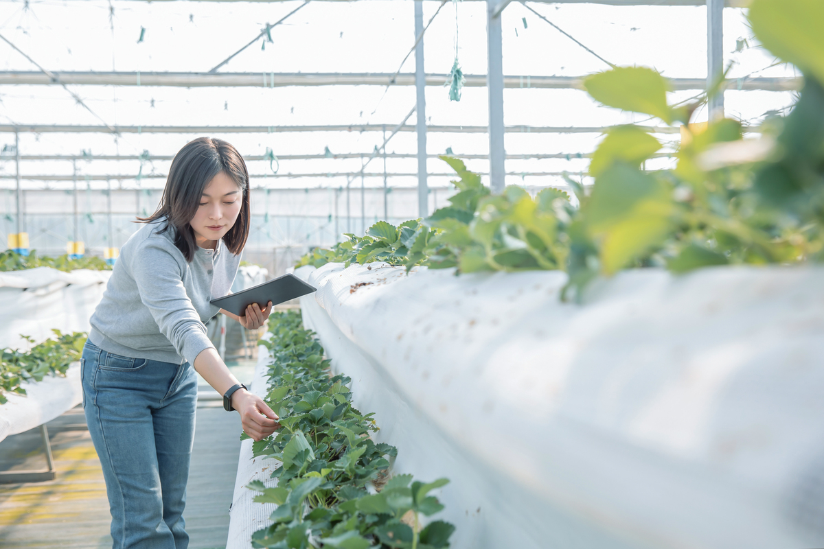 黑龙江农业职业技术学院作物生产技术专业就业前景分析