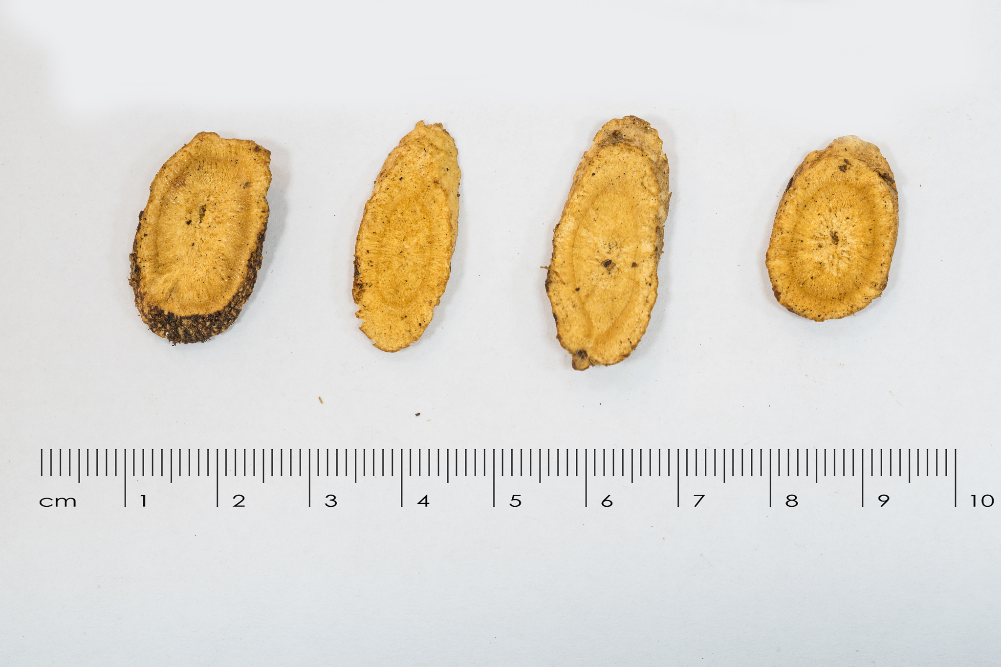 子洲县富发农业科技有限公司黄芪产品市场营销策略优化研究 - 研究内容