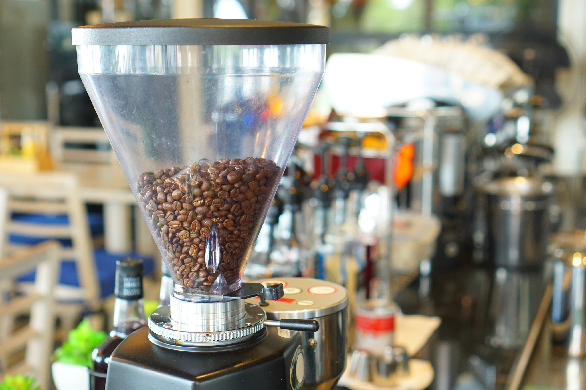 Please write a passage about Starbucks Corp NASDAQ SBUXs main raw materialsmain components of COGS their price volatility and how their price influences SBUXs profitability Within1000 words