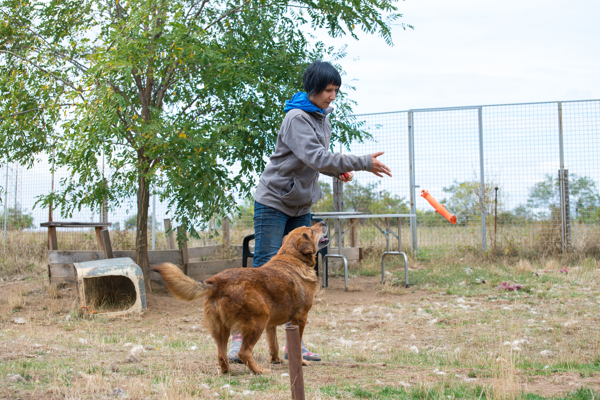 淮安生物工程高等职业学校宠物养护与驯导专业怎么样？就业前景如何？