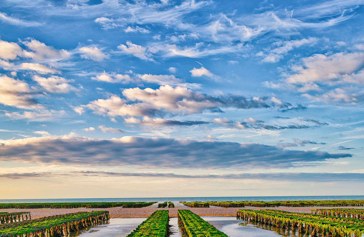 威海市水产学校招生办电话_好不好