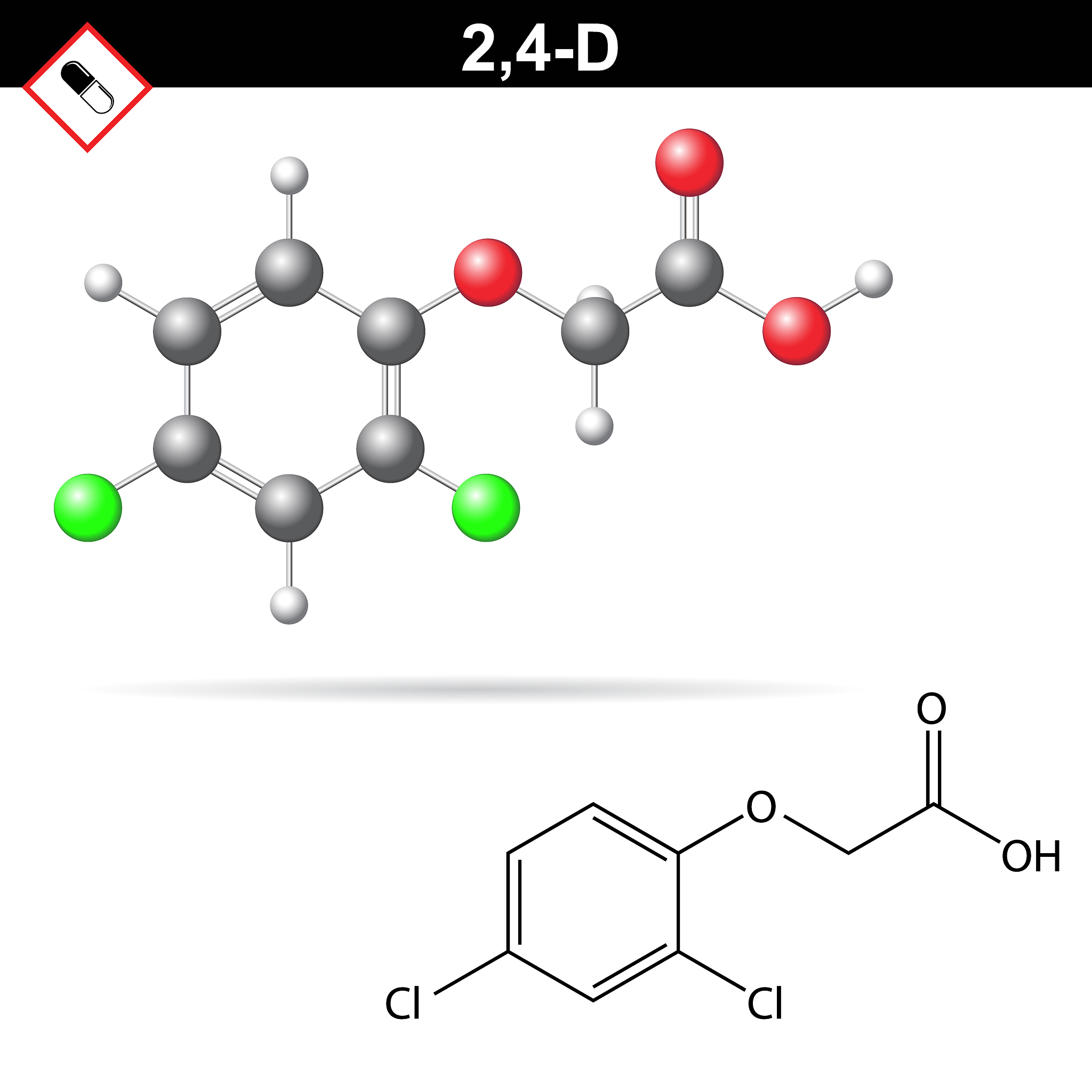 硅基工程增强D-泛解酸内酯水解酶活性：分子机制解析