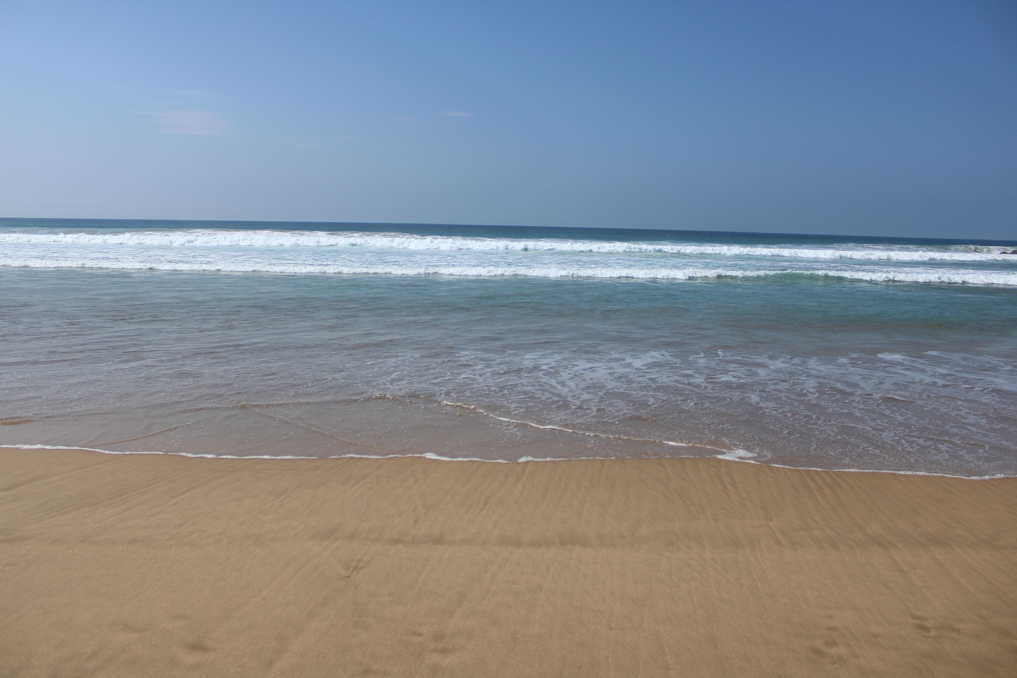 乘风破浪的猪 手游更新日志