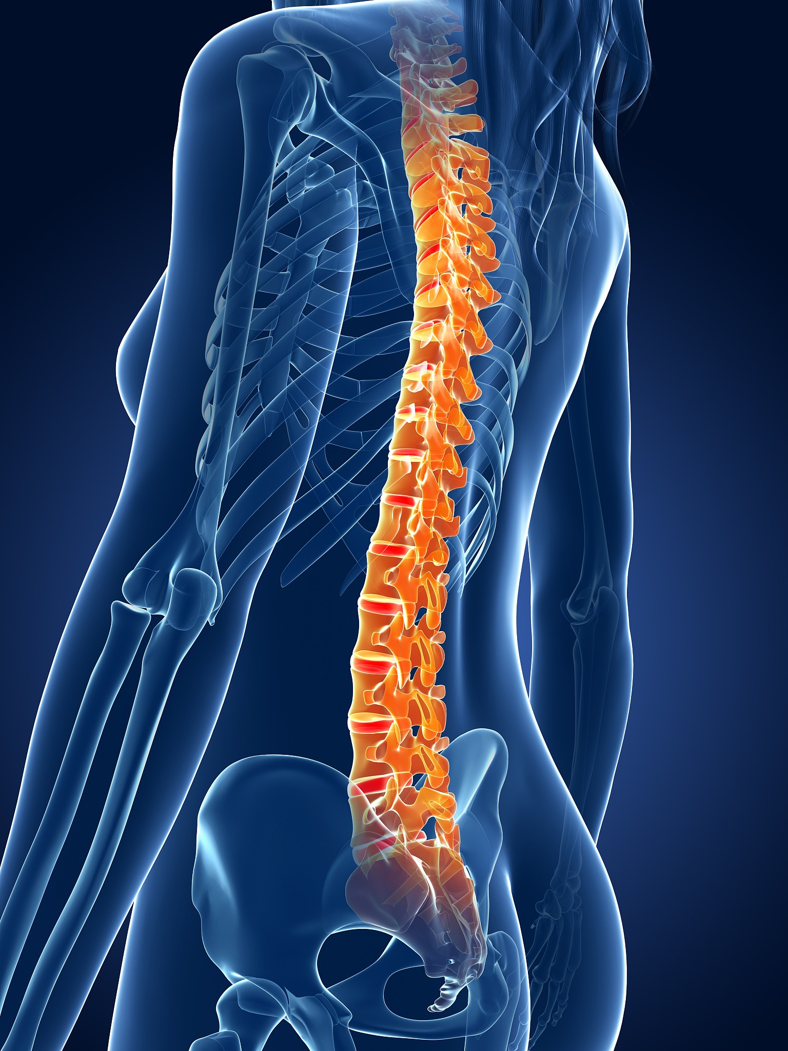 人正常的腰椎有曲度吗