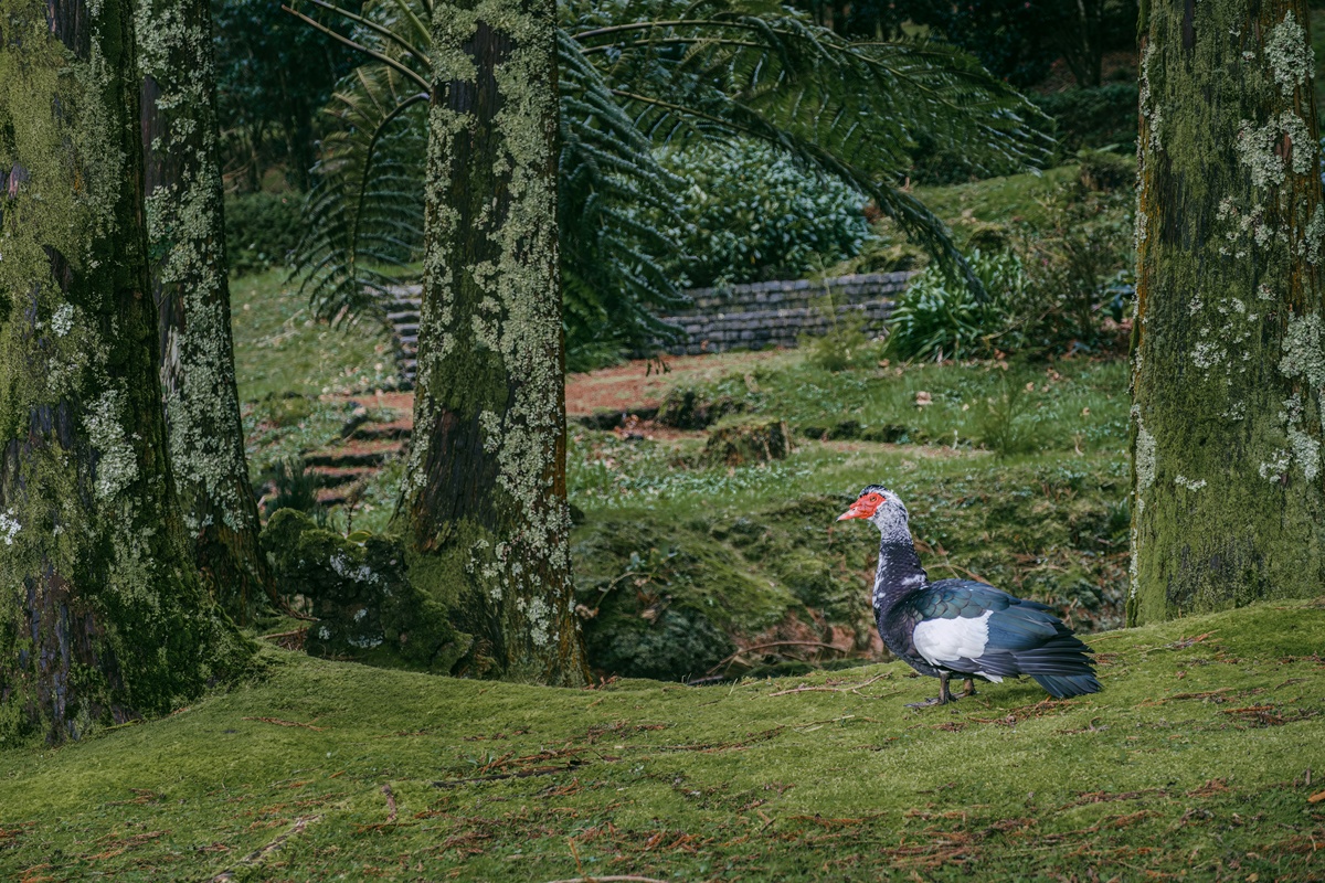 Ill give you a paragraph make it more comprehensive with more wordsThe paragraph will be as followsPlaceOur events will take place in wilderness parks bird habitats and botanical gardens which will pr