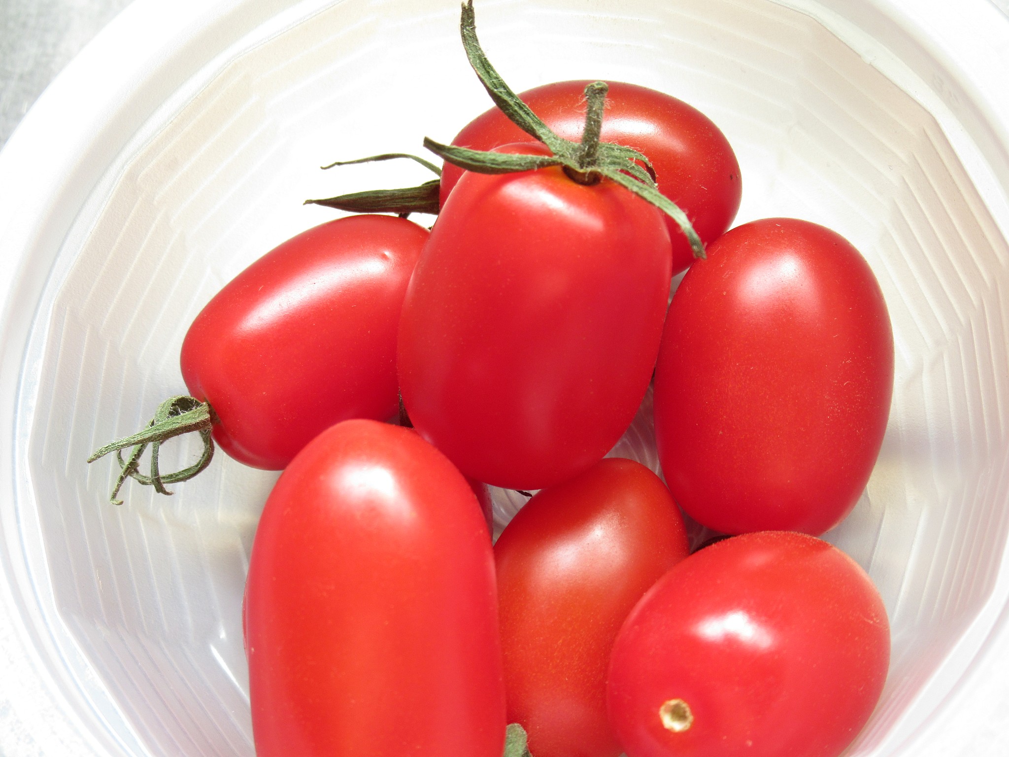 番茄里面番茄皮和籽占百分之几啊