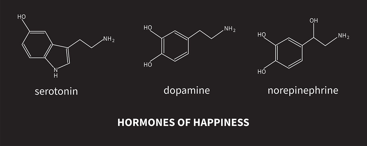 性欲的产生机制？