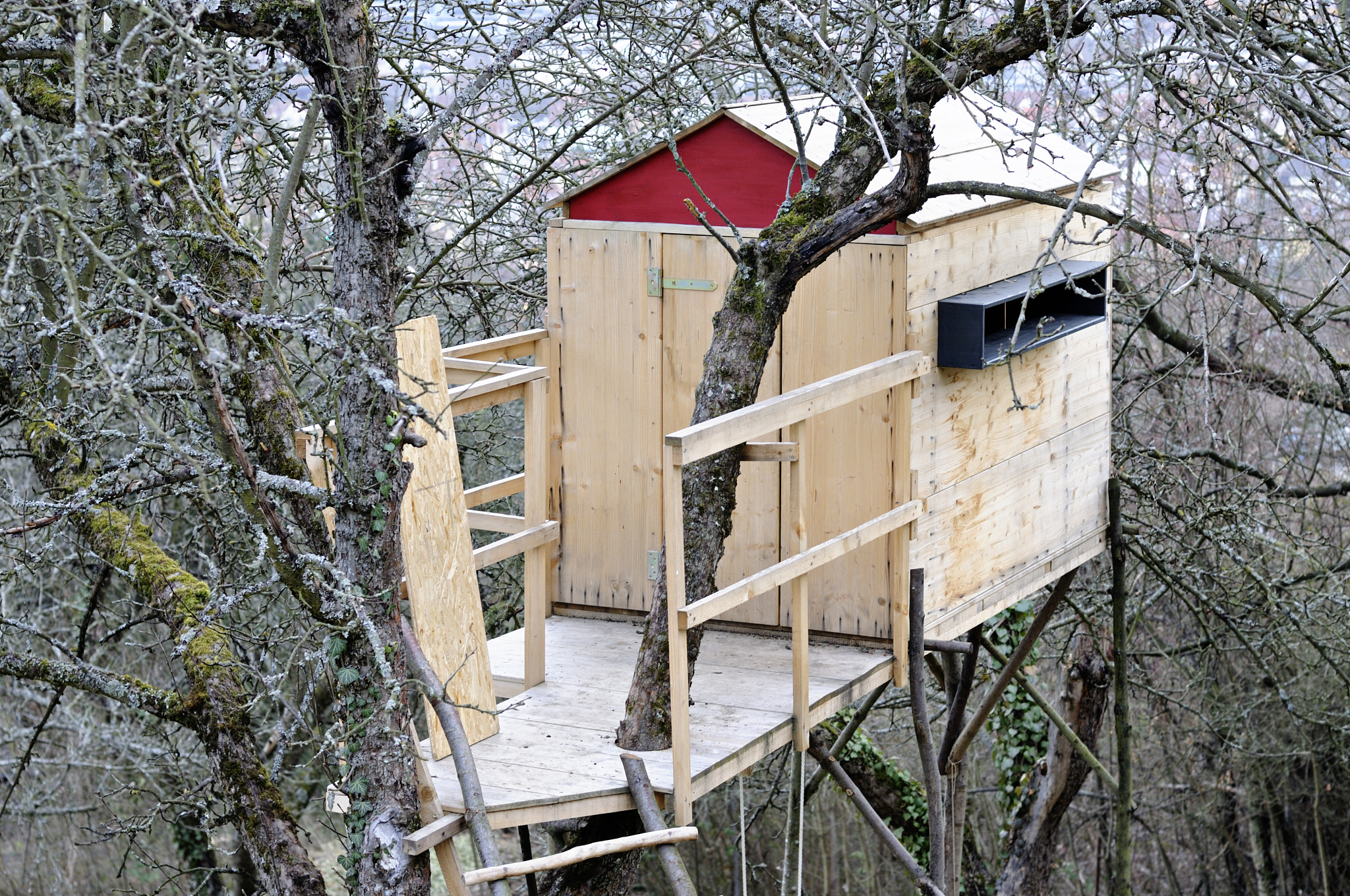 Creative Home Designs for Kids: Fun & Imaginative Houses!