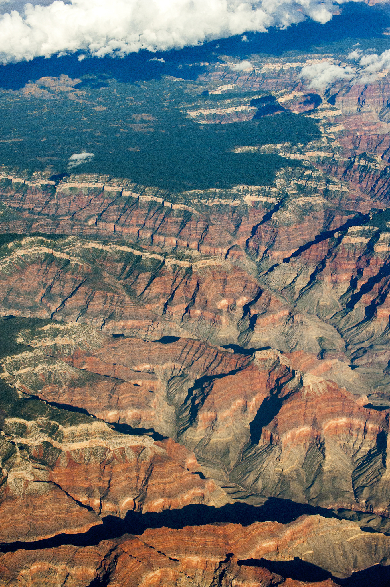 grand canyon, arizona, usa