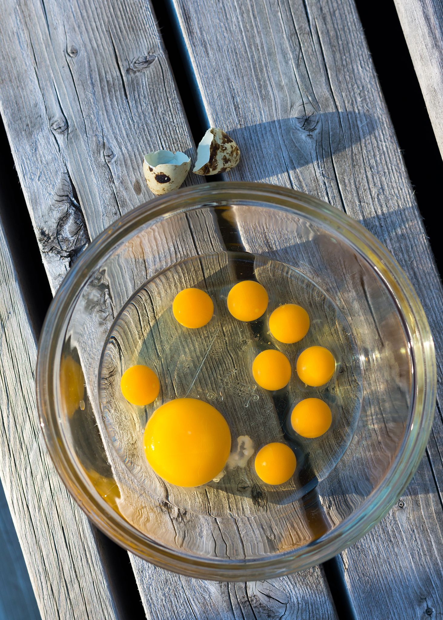 Still Life Photography Prompt Generator: Half Egg