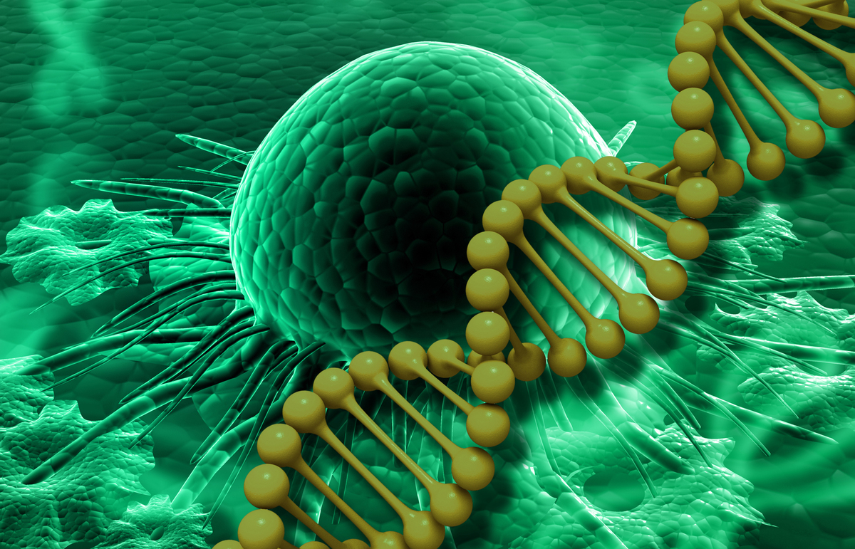 分子癌症治疗学期刊：研究癌症治疗的最新进展
