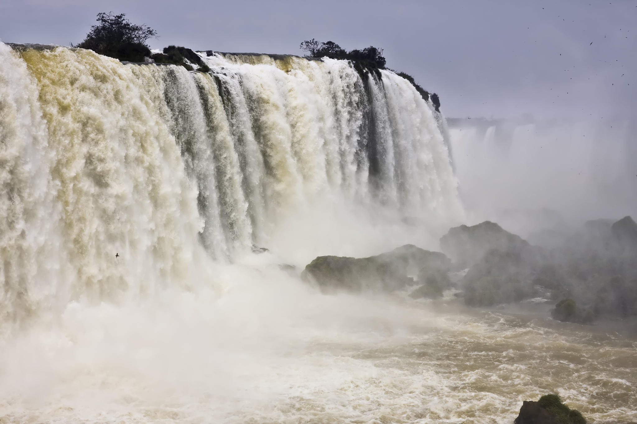 太原旅游职业学院旅游管理专业涉及哪些课程