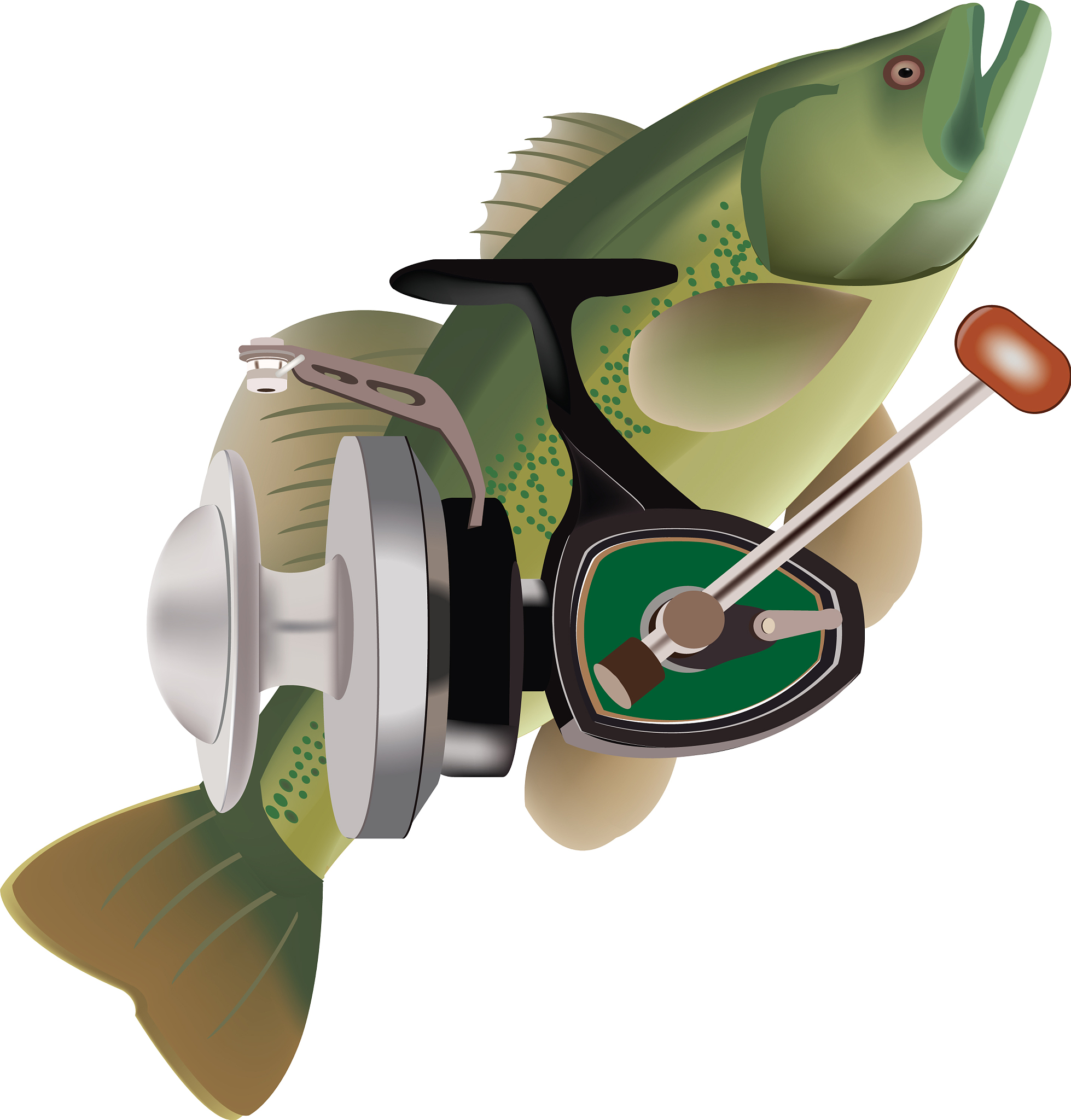 sport fishing reel equipment and predator
