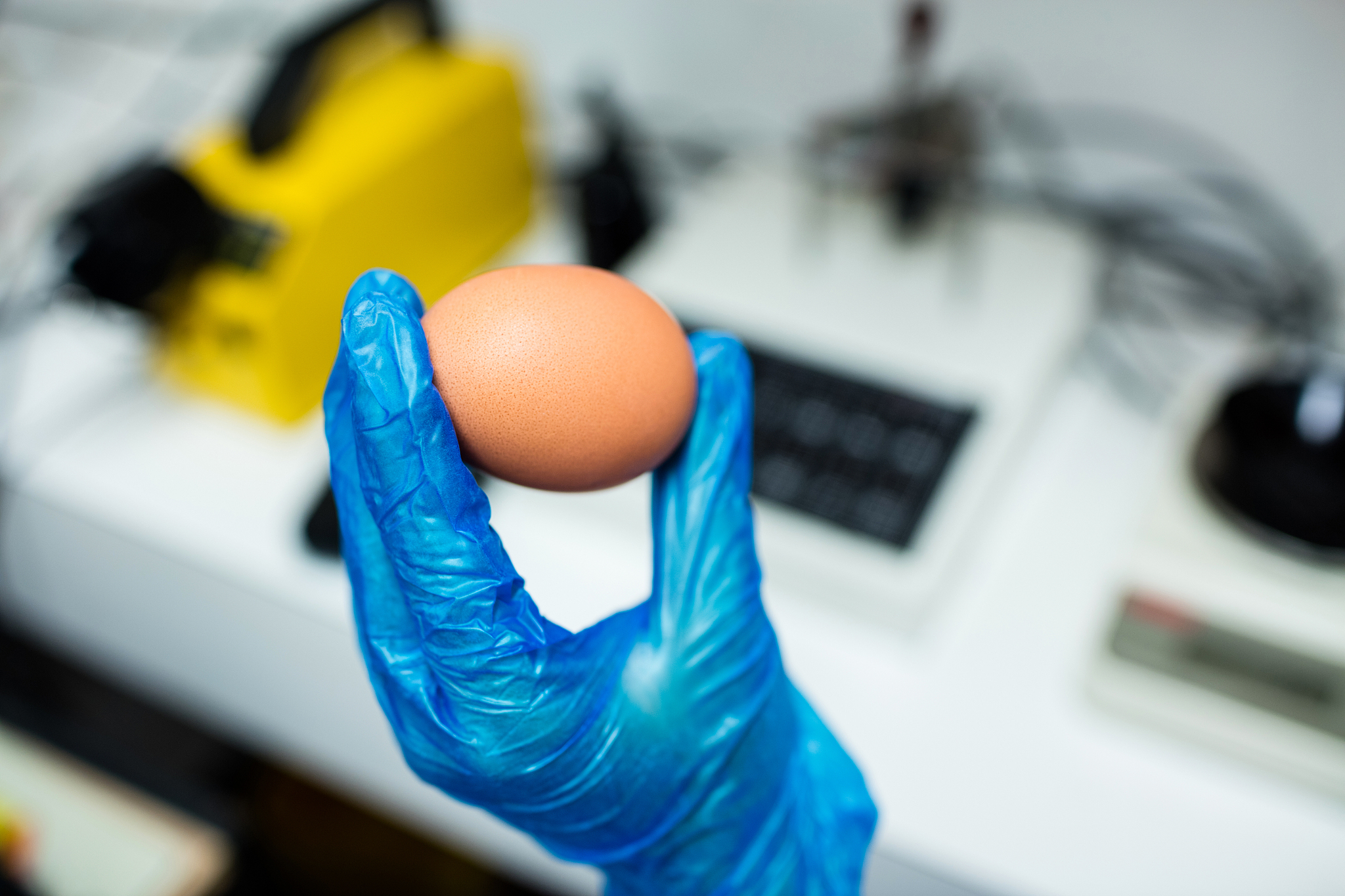 河北工业职业技术学院旅游管理专业好不好发展前景怎样