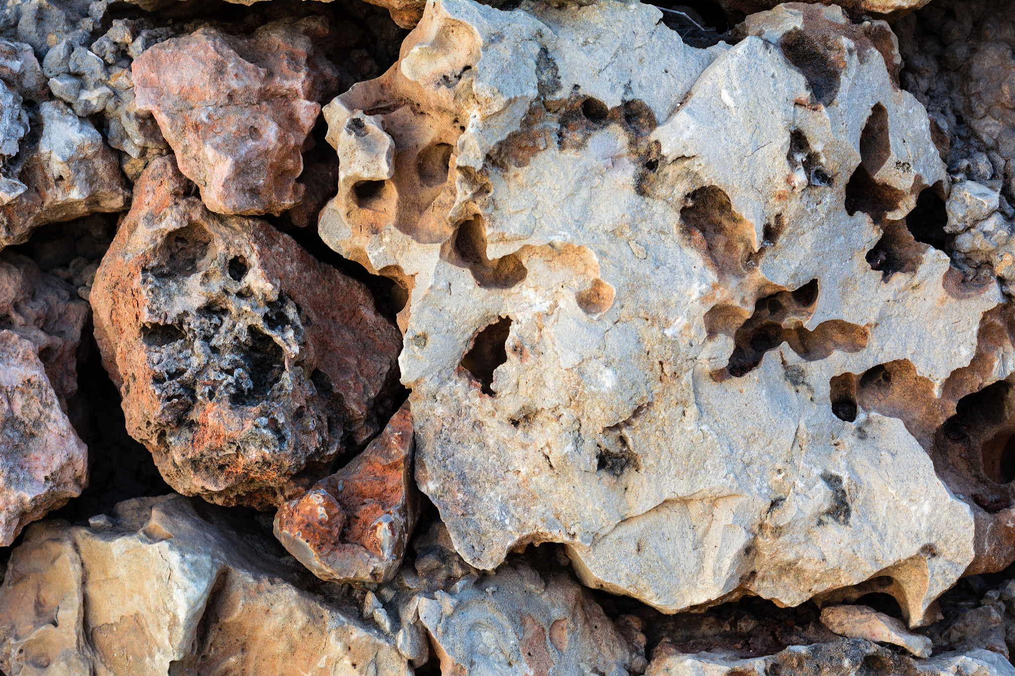 2022年江西中医药大学中药学专业招生