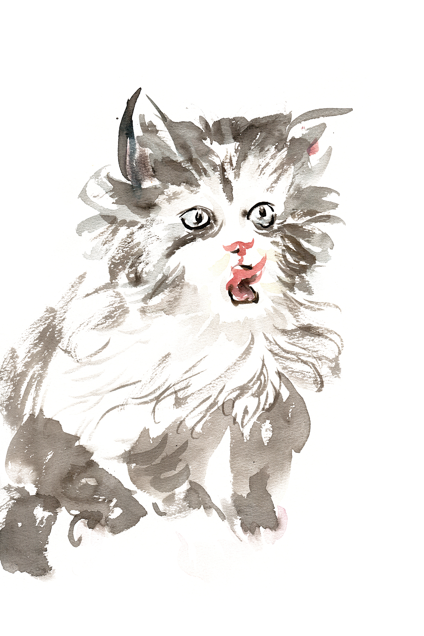 公猫名字中国风