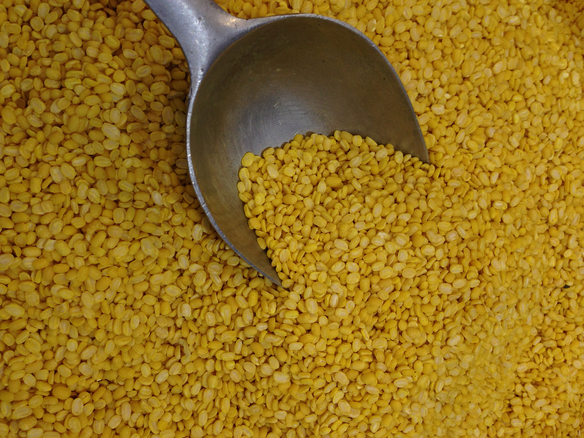 closed up mung beans background