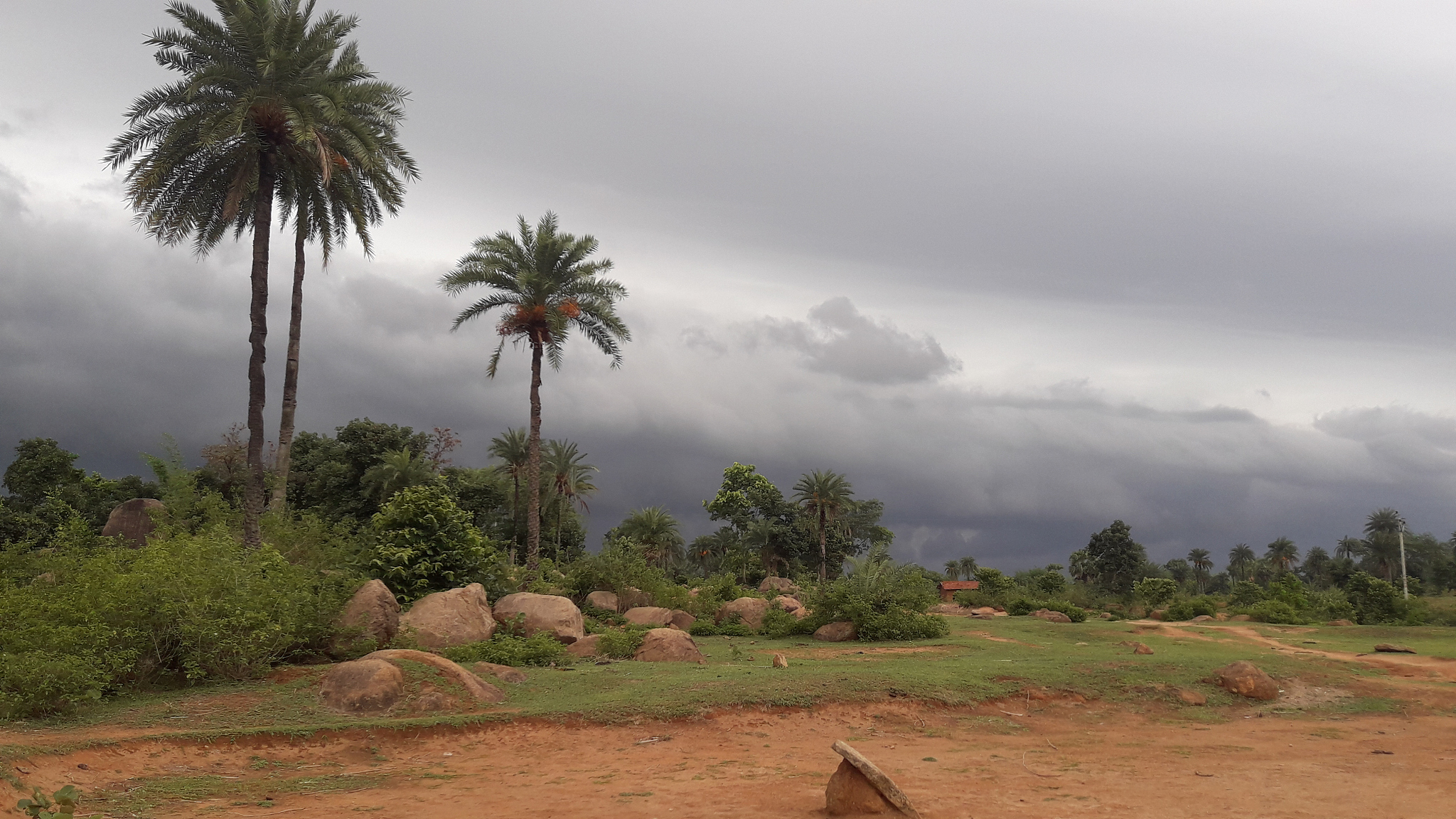 indian monsoon